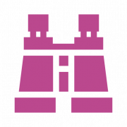 prismaticos prismaticos